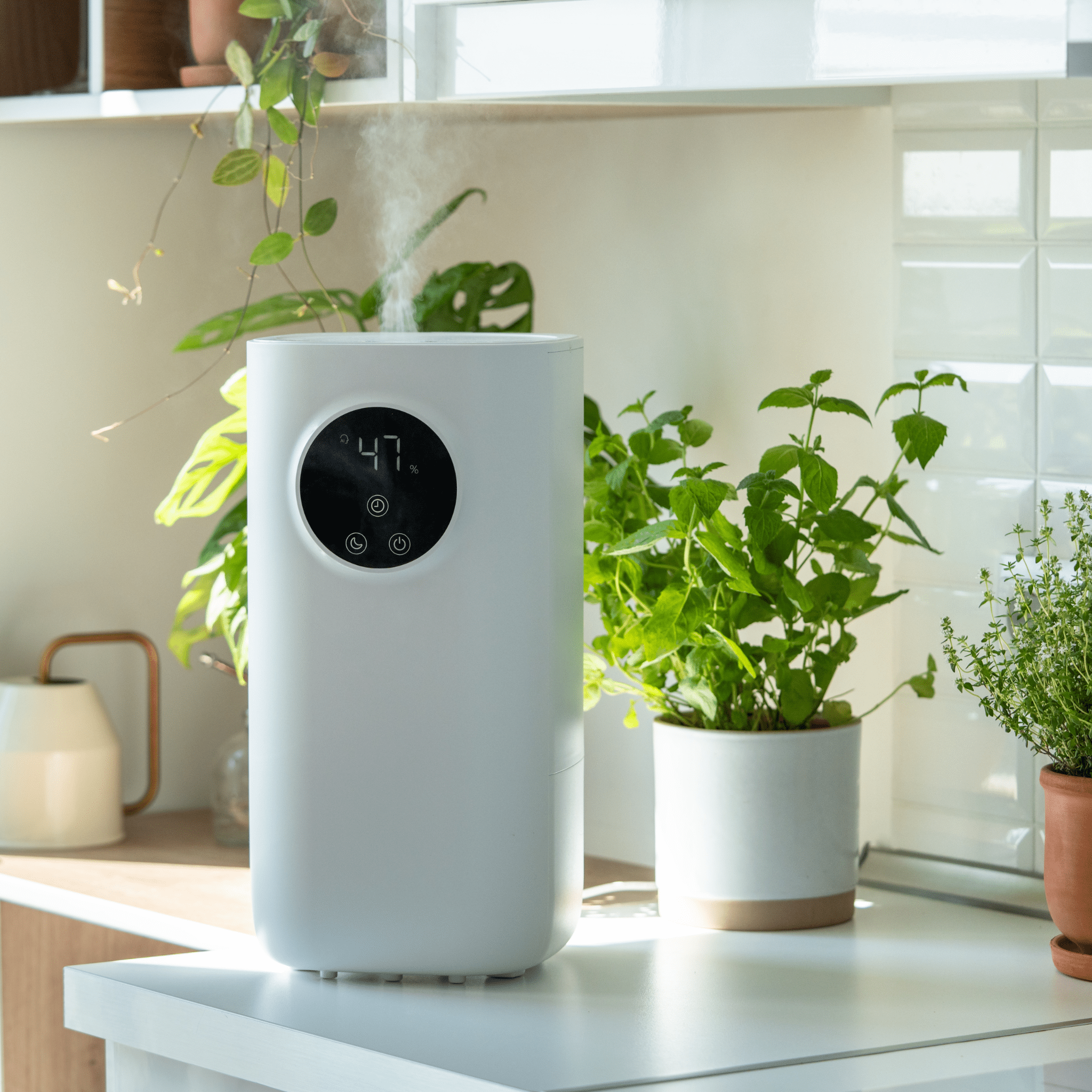 Diffusoren - aromazauberei