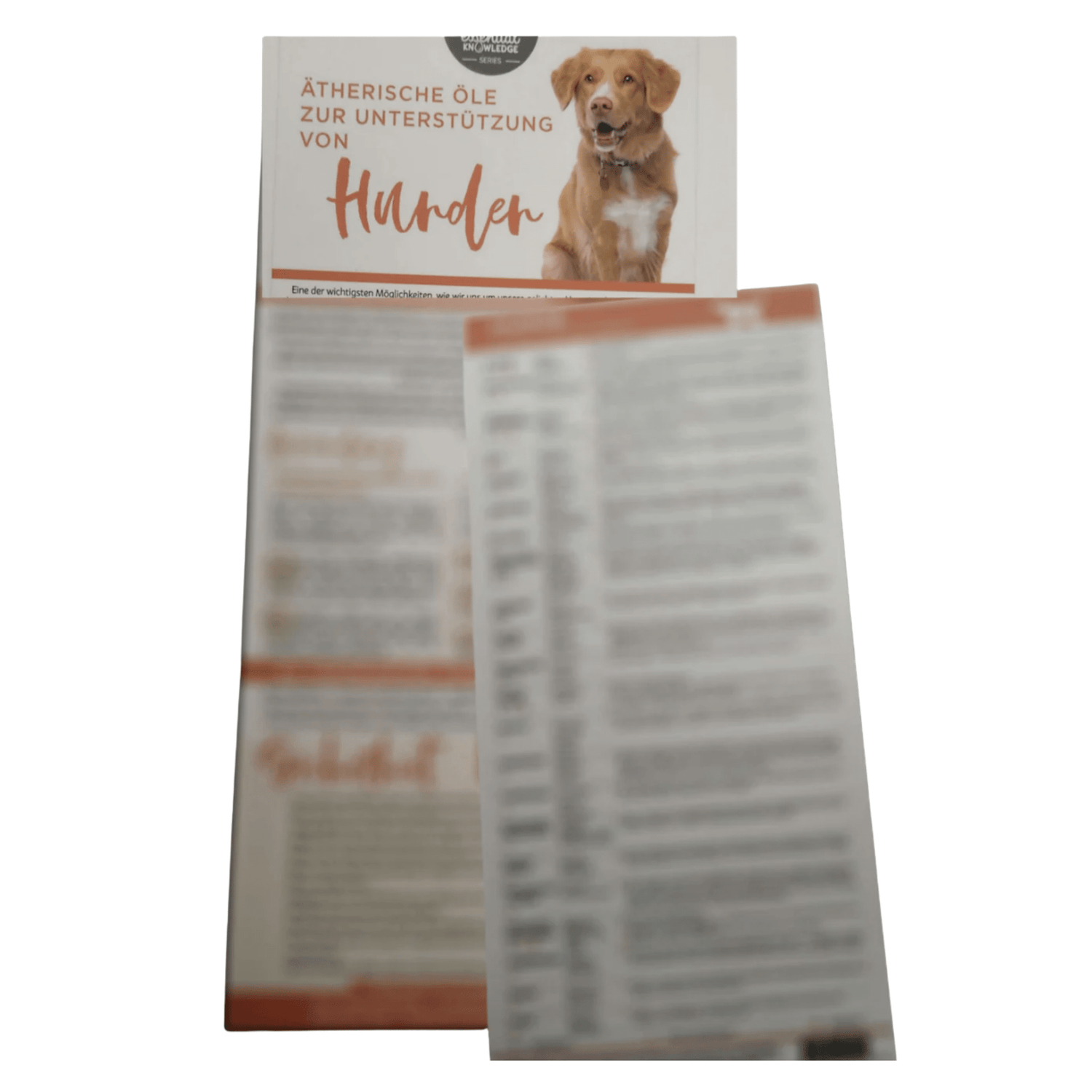 Ätherische Öle zur Unterstützung von Hunden Informationskarte - aromazauberei