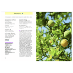 Handbuch Ätherische Öle - aromazauberei