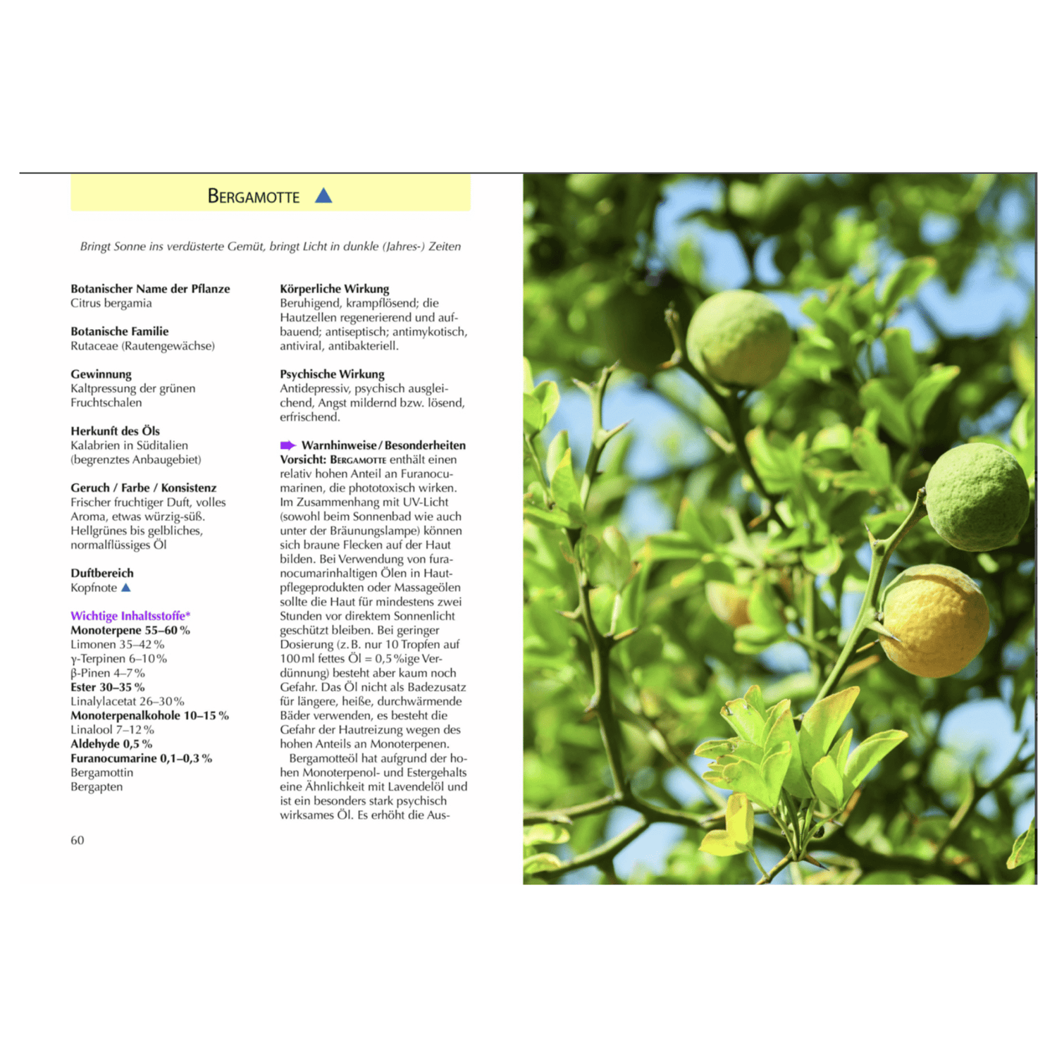 Handbuch Ätherische Öle - aromazauberei
