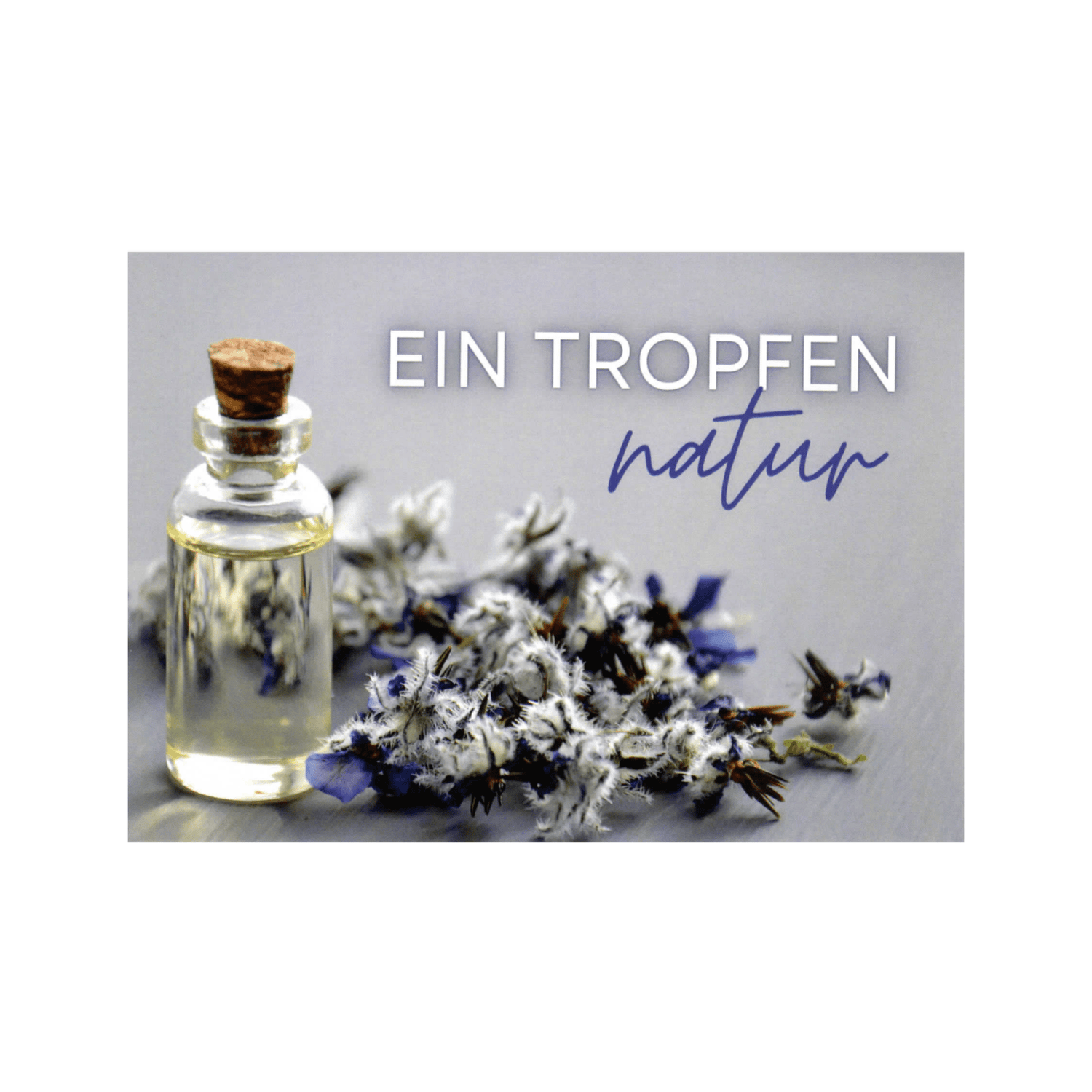 Postkarte "Duftende Grüße" – Magie für den Briefkasten - aromazauberei