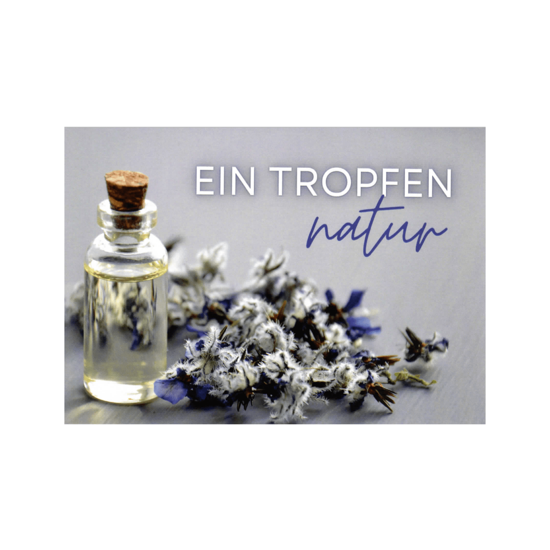 Postkarte "Duftende Grüße" – Magie für den Briefkasten - aromazauberei