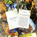 Waldbaden To Go - Kartenset - aromazauberei