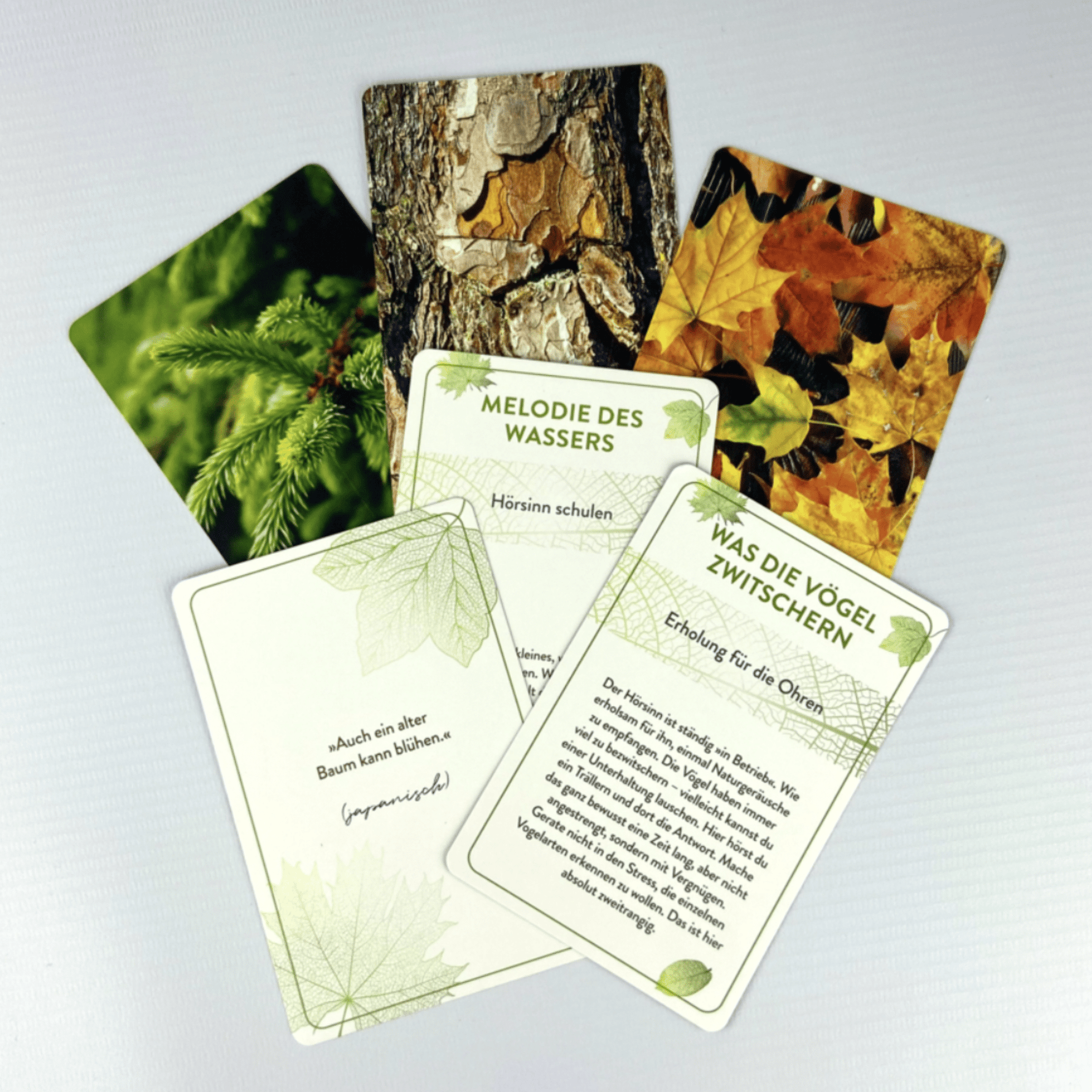 Waldbaden To Go - Kartenset - aromazauberei